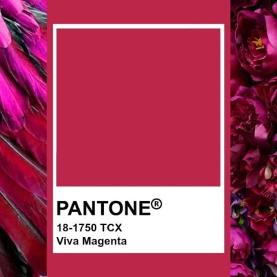 Vilma Wedding & Event Planner _ vestuvės Italijoje _ santuoka užsienyje _ Viva Magenta _ 2023 metų spalva _ raudona _ Vilma Rapšaitė