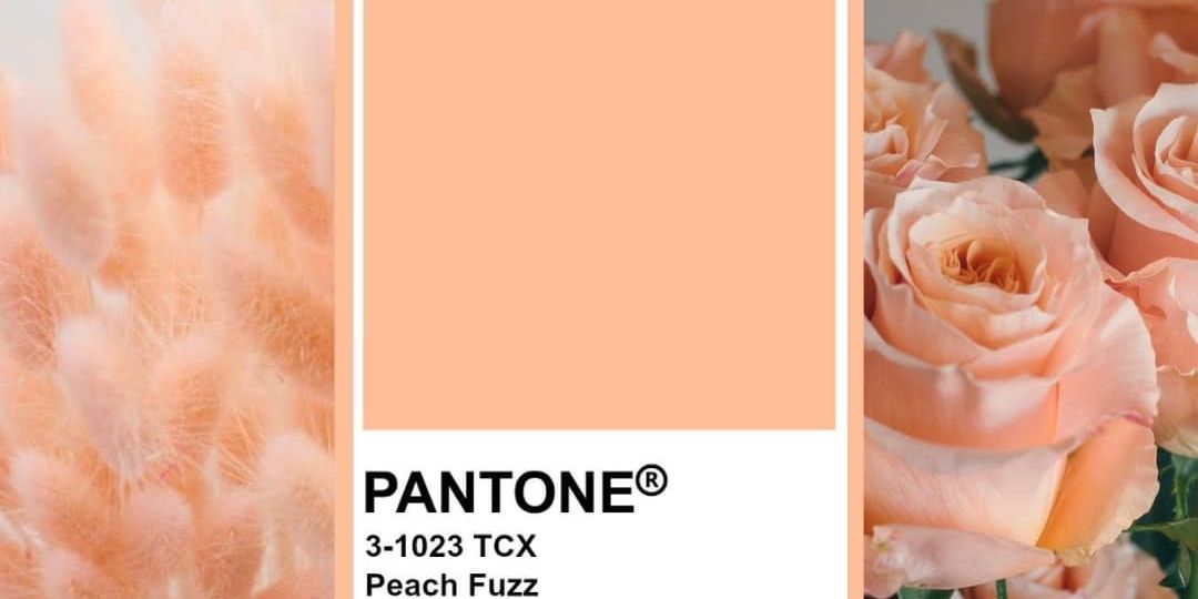 Vilma Wedding & Event Planner _ 2024-ųjų spalva _ peach fuzz _ persikinė _ dekoras _ vestuvių planavimas organizavimas koordinavimas 2024 2025 _ Vilma Rapšaitė