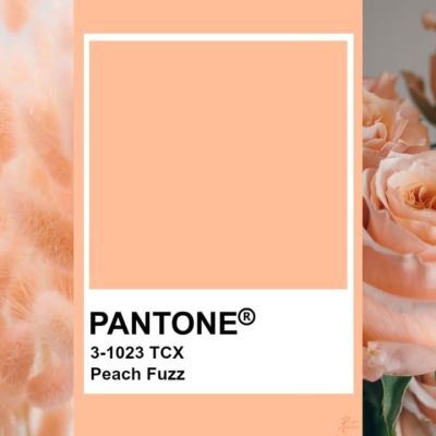 Vilma Wedding & Event Planner _ 2024-ųjų spalva _ peach fuzz _ persikinė _ dekoras _ vestuvių planavimas organizavimas koordinavimas 2024 2025 _ Vilma Rapšaitė