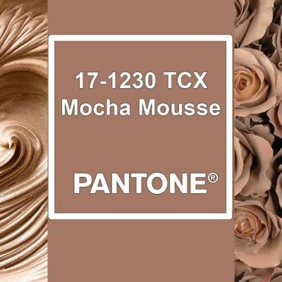 Vilma Wedding & Event Planner _ vestuvių planavimas organizavimas kooridnavimas Italijoje _ santuoka užsienyje _ 2025-ųjų spalva _ mocha mousse _ Vilma Rapšaitė